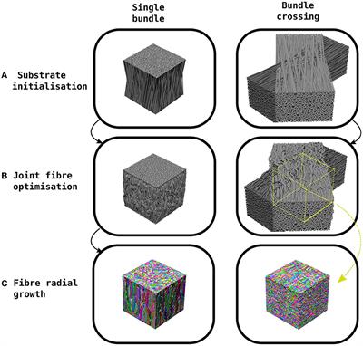 CACTUS: a computational framework for generating realistic white matter microstructure substrates